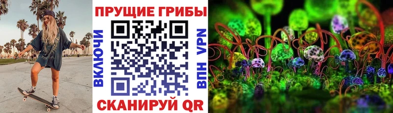 хочу наркоту  Выборг  Галлюциногенные грибы Cubensis 