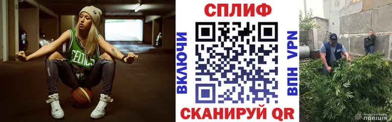 МАРИХУАНА семена  закладка  Выборг 